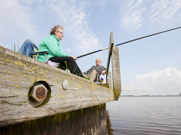 Friesland Vakantiepark Bergumermeer Vissen