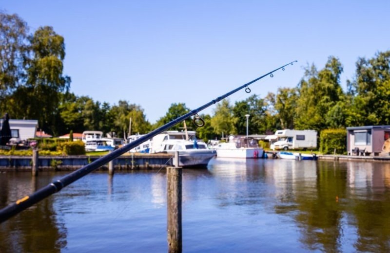 Vakantiepark bergumermeer vissen 4