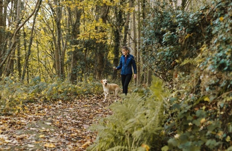 Elf-Städte-Pfad: Etappe 15